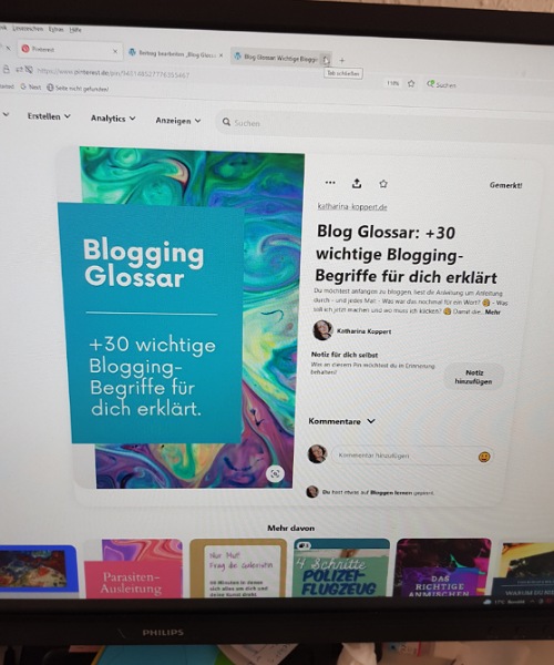 Ein Screenshot von einem Pinterest Pin:
Blogging-Glossar: +30 wichtige Blogging Begriffe für sich erklärt.